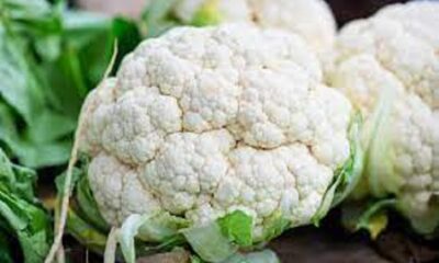 The kingdom of health is hidden in cauliflower, add it to your diet from today
