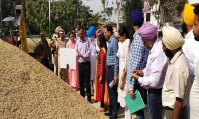 So far 81,80,888 metric tons of paddy has been purchased in the grain markets of Punjab.