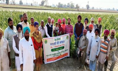 Organic Farming School and KVK organized Farm Day on Turmeric