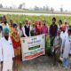 Organic Farming School and KVK organized Farm Day on Turmeric