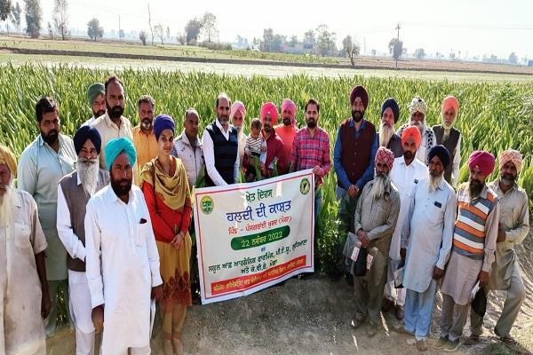 Organic Farming School and KVK organized Farm Day on Turmeric