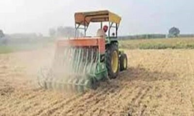 Recommended sowing of wheat till November 15 for maximum yield of wheat