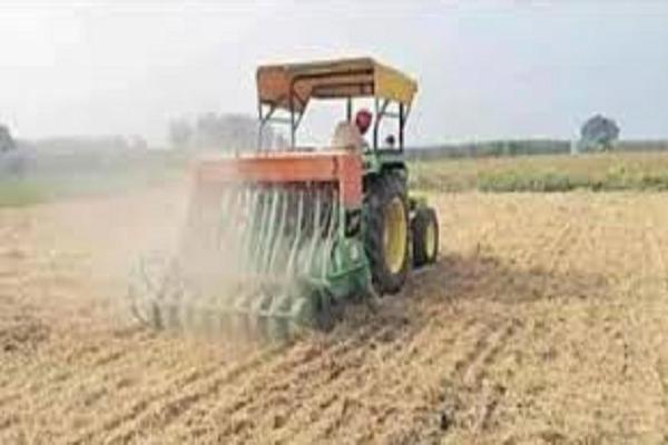 Recommended sowing of wheat till November 15 for maximum yield of wheat