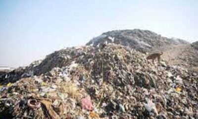 Garbage mountain started to move from Tajpur dump, along with cleaning, planting work started around.