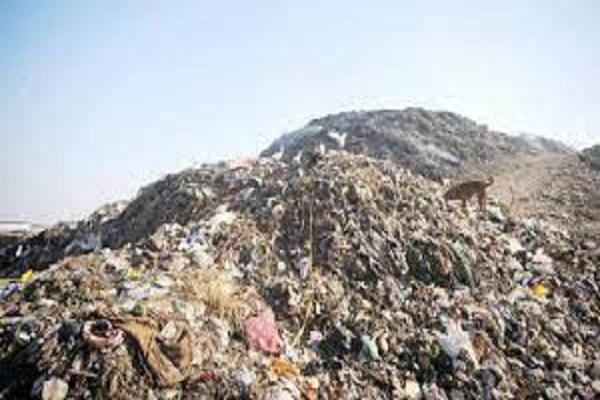 Garbage mountain started to move from Tajpur dump, along with cleaning, planting work started around.