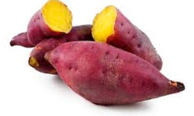 Why is sweet potato eaten cold? Know its amazing benefits