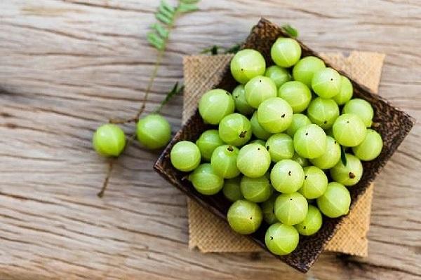 To stay fit and fine in winter, include Amla in your diet today