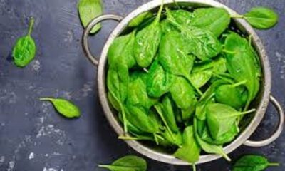 Spinach is no less than a superfood in winter, its benefits will surprise you