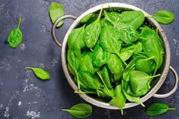 Spinach is no less than a superfood in winter, its benefits will surprise you