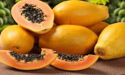 Consuming papaya gives relief from kidney stones