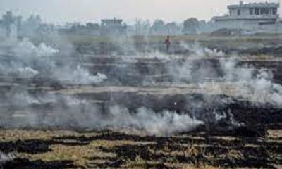 Ludhiana is most polluted in Punjab due to stubble smoke, AQI above 300