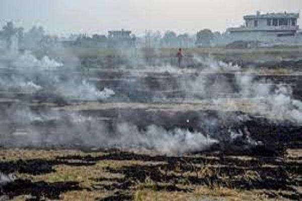 Ludhiana is most polluted in Punjab due to stubble smoke, AQI above 300