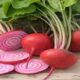 Know how eating beetroot and garlic can be beneficial in cold season