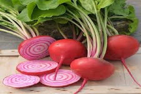 Know how eating beetroot and garlic can be beneficial in cold season