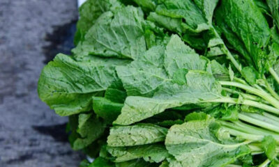 Not only taste, mustard greens are also beneficial for health, it will protect against all diseases