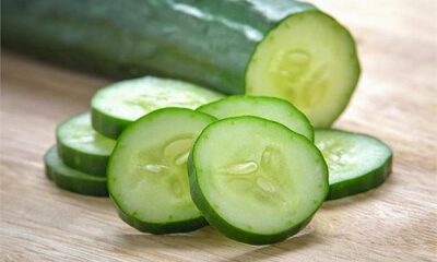 Eat cucumber daily to control cholesterol!