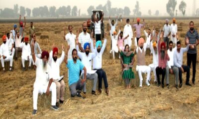 Special honor to farmers who do not burn paddy straw by Deputy Commissioner