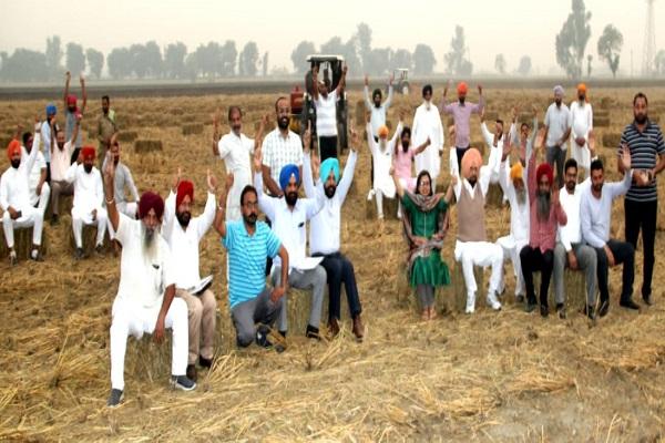Special honor to farmers who do not burn paddy straw by Deputy Commissioner