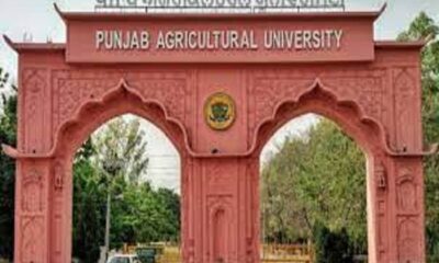 PAU The Alumni Meet of Agricultural Engineering College will be held on November 26