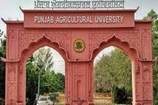 PAU The Alumni Meet of Agricultural Engineering College will be held on November 26