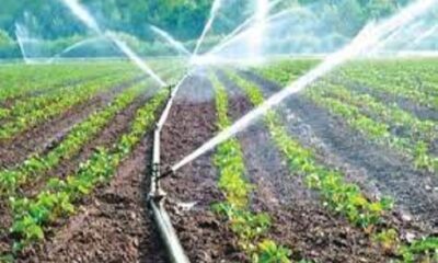 Need to adopt drip irrigation to save Punjab from water crisis – Vice Chancellor