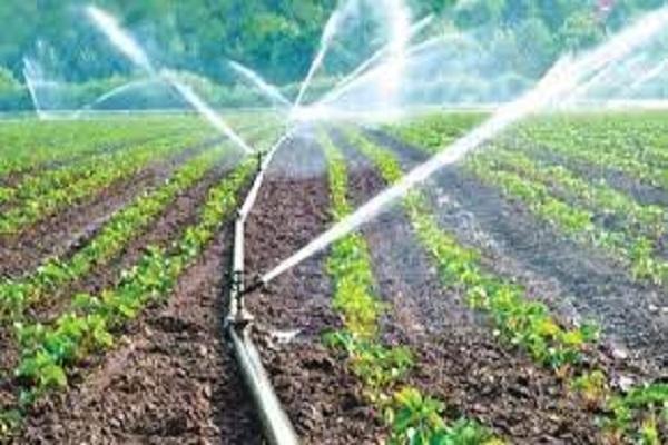 Need to adopt drip irrigation to save Punjab from water crisis – Vice Chancellor