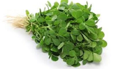 Fenugreek and coriander are very useful, include them in the diet