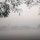There is a risk of severe cold in Punjab during the next five days, the Meteorological Department has issued an alert