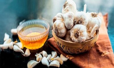 If you are suffering from cold for a long time, then eat garlic with honey, there will be miraculous benefits.