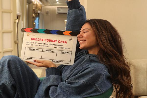 Sonam Bajwa will play the role of a Punjabi girl in the film Gode Gode Cha.