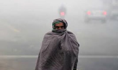 Cold wave will continue in Punjab after two days, Meteorological department has issued yellow alert
