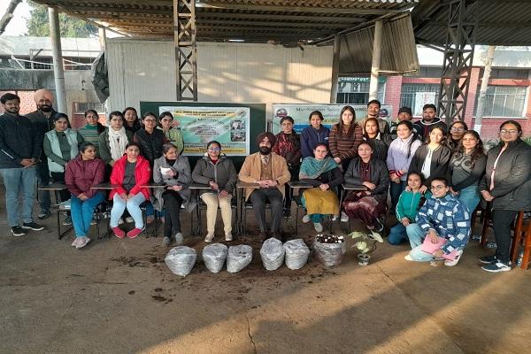 National Mushroom Day was celebrated in PAU