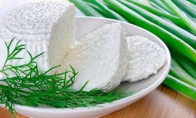Not fried-roasted, eat 1 koli raw cheese for breakfast, you will get these tremendous benefits.