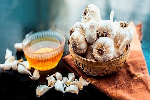 If you are suffering from cold for a long time, then eat garlic with honey, there will be miraculous benefits.