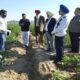 PAU Vice Chancellor visited vegetable research farm Khanora