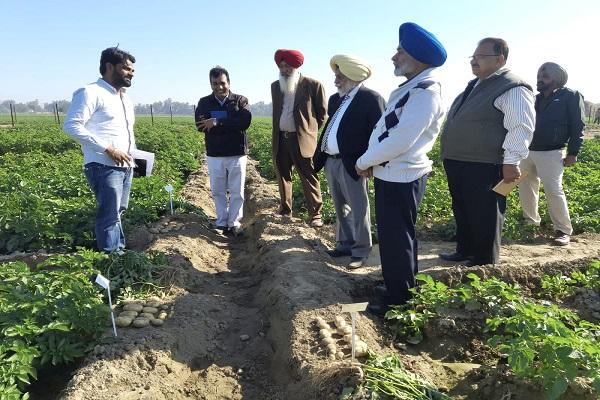 PAU Vice Chancellor visited vegetable research farm Khanora
