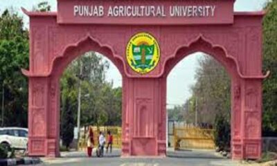 PAU A quarterly course on comprehensive agriculture will be conducted for rural young farmers