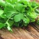 Coriander leaves are beneficial in many diseases including diabetes, digestion, high blood pressure