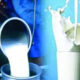 The food team of Ludhiana caught 40 quintal fake milk during the investigation, filled 10 samples