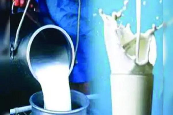 The food team of Ludhiana caught 40 quintal fake milk during the investigation, filled 10 samples