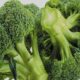 Broccoli healthy heart benefits