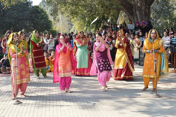 Lohri celebrated at Government College for Girls, Ludhiana