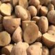 PAU Authentic seed of the best varieties of potatoes available to farmers