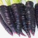 Black carrot is much more beneficial than red, if you see it in the market, definitely bring it home