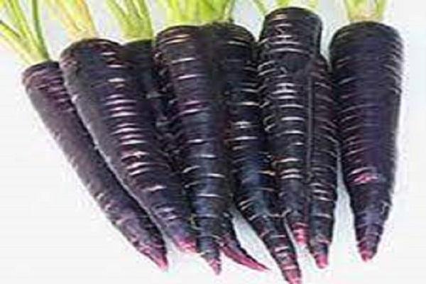 Black carrot is much more beneficial than red, if you see it in the market, definitely bring it home