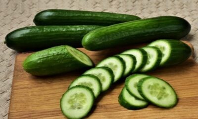 Consume cucumber to control high blood pressure!