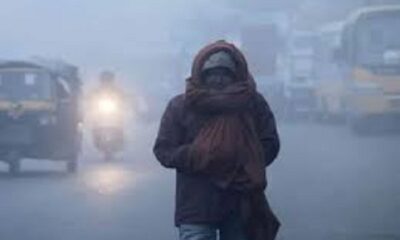 Dense fog and cold wave continue to rage in Ludhiana, everyone is doing their best