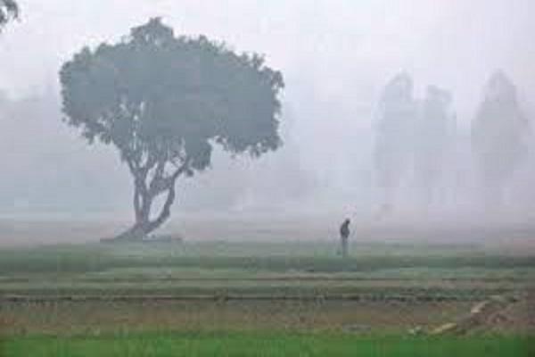 PAU Experts recommended to farmers regarding fog