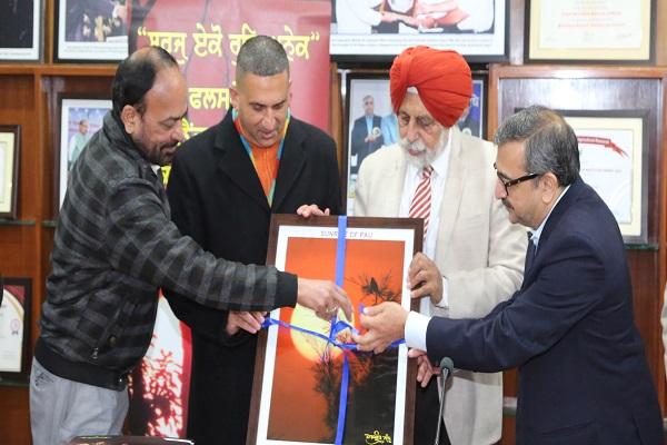 PAU Vice-Chancellor released a calendar of pictures of the rising sun in Punjab