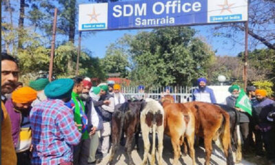 Farmers reached the SDM office with trolleys of helpless animals, the officials closed the main gate